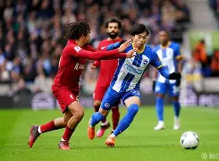 关于集结日欧冠传出新动向，布莱顿手感冰凉，管理层表态——信心回归，身体对抗强度拉满的信息